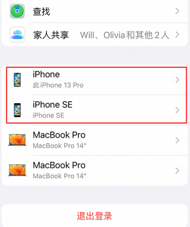 德州苹德州果维修网点分享iPhone如何查询序列号