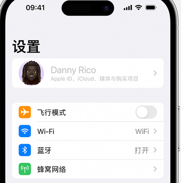 德州appleID维修服务iPhone设置中Apple ID显示为灰色无法使用 