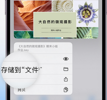 德州apple维修中心分享iPhone文件应用中存储和找到下载文件