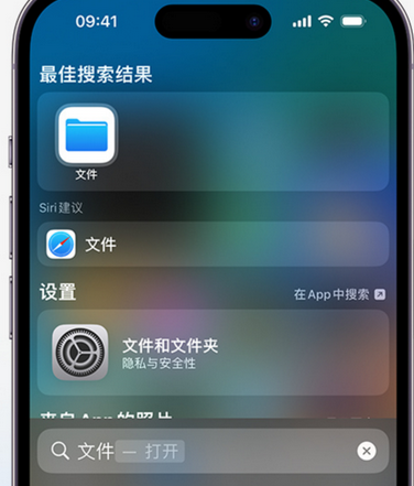 德州apple维修中心分享iPhone文件应用中存储和找到下载文件