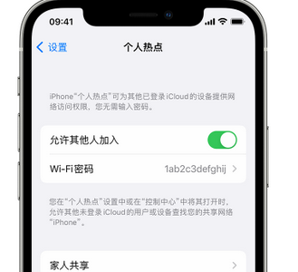 德州apple服务站点分享iPhone上个人热点丢失了怎么办 