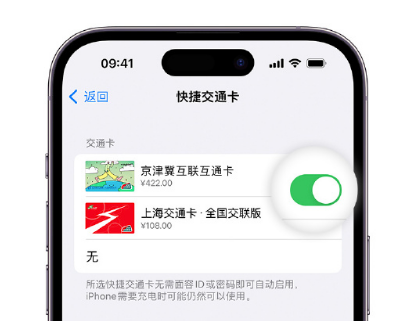 德州apple维修点分享iPhone上更换Apple Pay快捷交通卡手绘卡面 