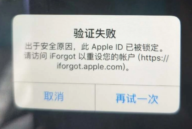 德州iPhone维修分享iPhone上正常登录或使用AppleID怎么办 