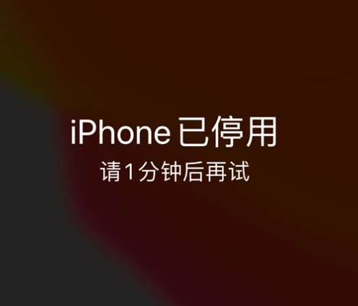 德州苹果手机维修分享:iPhone 显示“不可用”或“已停用”怎么办？还能保留数据吗？ 