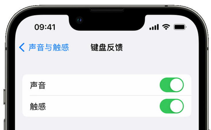 德州苹果手机维修分享iPhone 14触感键盘使用方法 