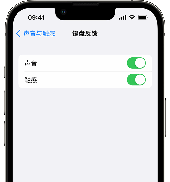 德州苹果14维修店分享如何在 iPhone 14 机型中使用触感键盘 