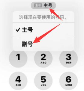 德州苹果14维修店分享iPhone 14 Pro Max使用副卡打电话的方法 