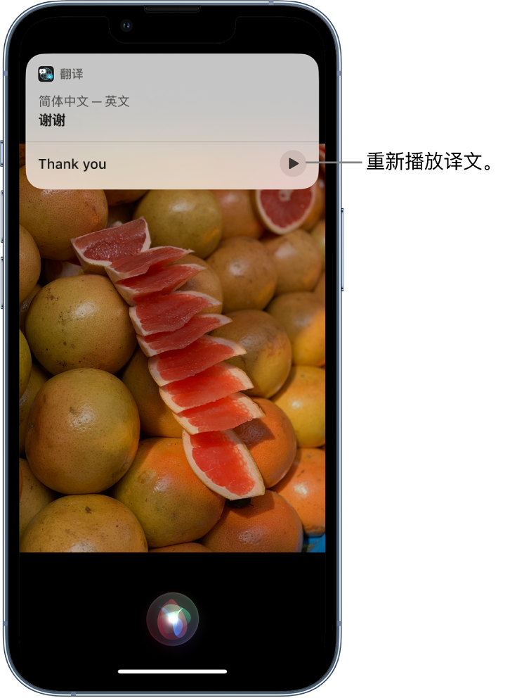 德州苹果14维修分享 iPhone 14 机型中使用 Siri：了解 Siri 能帮你做什么 