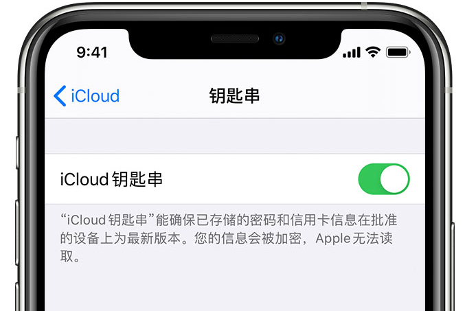 德州苹果手机维修分享在 iPhone 上开启 iCloud 钥匙串之后会储存哪些信息 