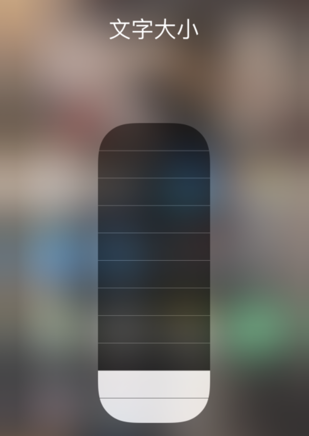 德州苹果手机维修分享小技巧：在 iPhone 控制中心快速调节字体大小 