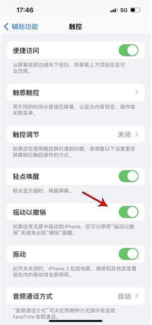 德州苹果手机维修分享iPhone手机如何设置摇一摇删除文字 